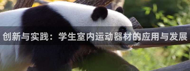 海南征途国际:创新与实践:学生室内运动器材的应用与发展