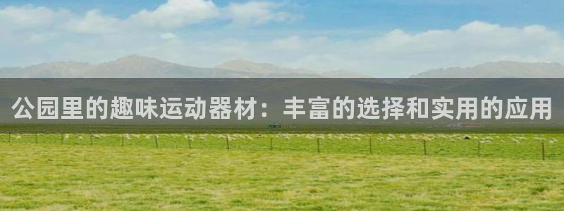 征途国际招商电话号码查询:公园里的趣味运动器材:丰富的选择和